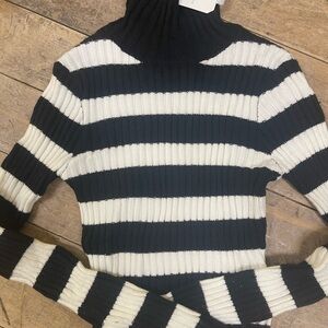 Altar'd State Black and White Striped Turtleneck Sweater